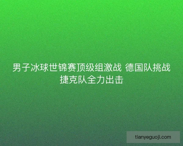 男子冰球世锦赛顶级组激战 德国队挑战捷克队全力出击